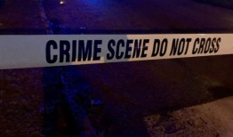 塔斯卡卢萨县家庭入室盗窃造成3人受伤，其中包括儿童，狗死亡;火花搜捕