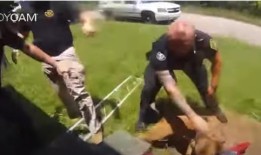手无寸铁的阿拉巴马黑人男子的律师获得了警犬“无缘无故”袭击的随身摄像头