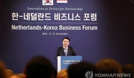 韩国和荷兰签署半导体等产业协议