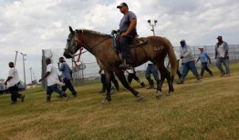调查揭示了美国监狱劳工如何支持许多受欢迎的食品品牌