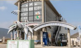 见证清晨成千上万只鹤的魔力