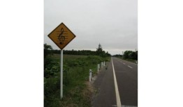 快查：日本真的有会唱歌的公路吗？