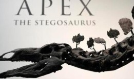 绰号“Apex”的剑龙拍出近4500万美元，打破了恐龙拍卖纪录