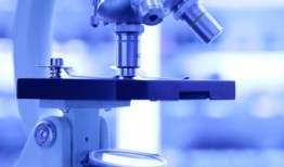 研究人员解决了X染色体失活的长期谜团