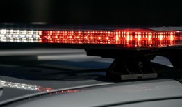 车辆驶离海豚岛公园道，坠入河中，尸体被发现