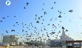 明天卡塔尔的天气会很热