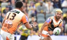 Api Koroisau对原籍国冷落的经典回应