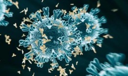 NIV确认古吉拉特邦首例昌迪普拉病毒死亡病例;疑似死亡人数上升至14人