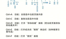 键盘上的快捷键：掌握它们，效率翻倍！