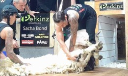 新西兰乡村体育奖决赛名单公布