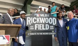 美国职业棒球大联盟宣布瑞奇伍德球场比赛的品牌