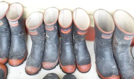 天气：全国各地有大雨和大风警告