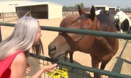 一名丹佛男子在其妻子和尚在襁褓中的女儿死亡后被正式起诉