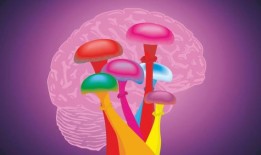 致幻剂可能很快就可以用于治疗患有创伤后应激障碍的退伍军人