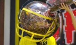 明星护林员冲向沉睡的明星从“致命”蛇