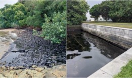 石油泄漏后，更多海滩关闭;MPA与保险公司建立第三方索赔联系