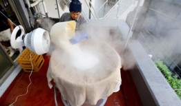 可持续发展的清酒：东京酿酒商利用音乐和现代方法来应对气候影响