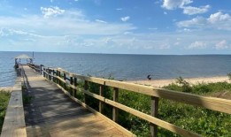 直到7月中旬，阿拉巴马州沿海水域的细菌含量都很低