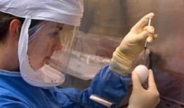 研究：生病的吸血蝙蝠在社交上与同伴保持距离