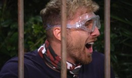 明星护林员冲向沉睡的明星从“致命”蛇