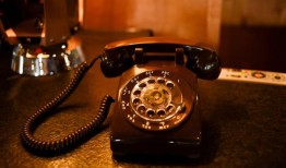 寒流，里克和布巴，古老的鲨鱼：在阿拉巴马州