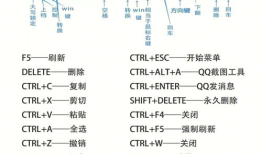 键盘上的快捷键：掌握它们，效率翻倍！