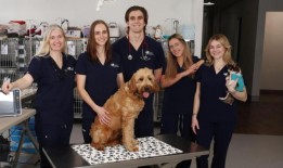 港口城市紧急兽医在巴尔米拉开业，“从默多克到奥斯本公园”短缺